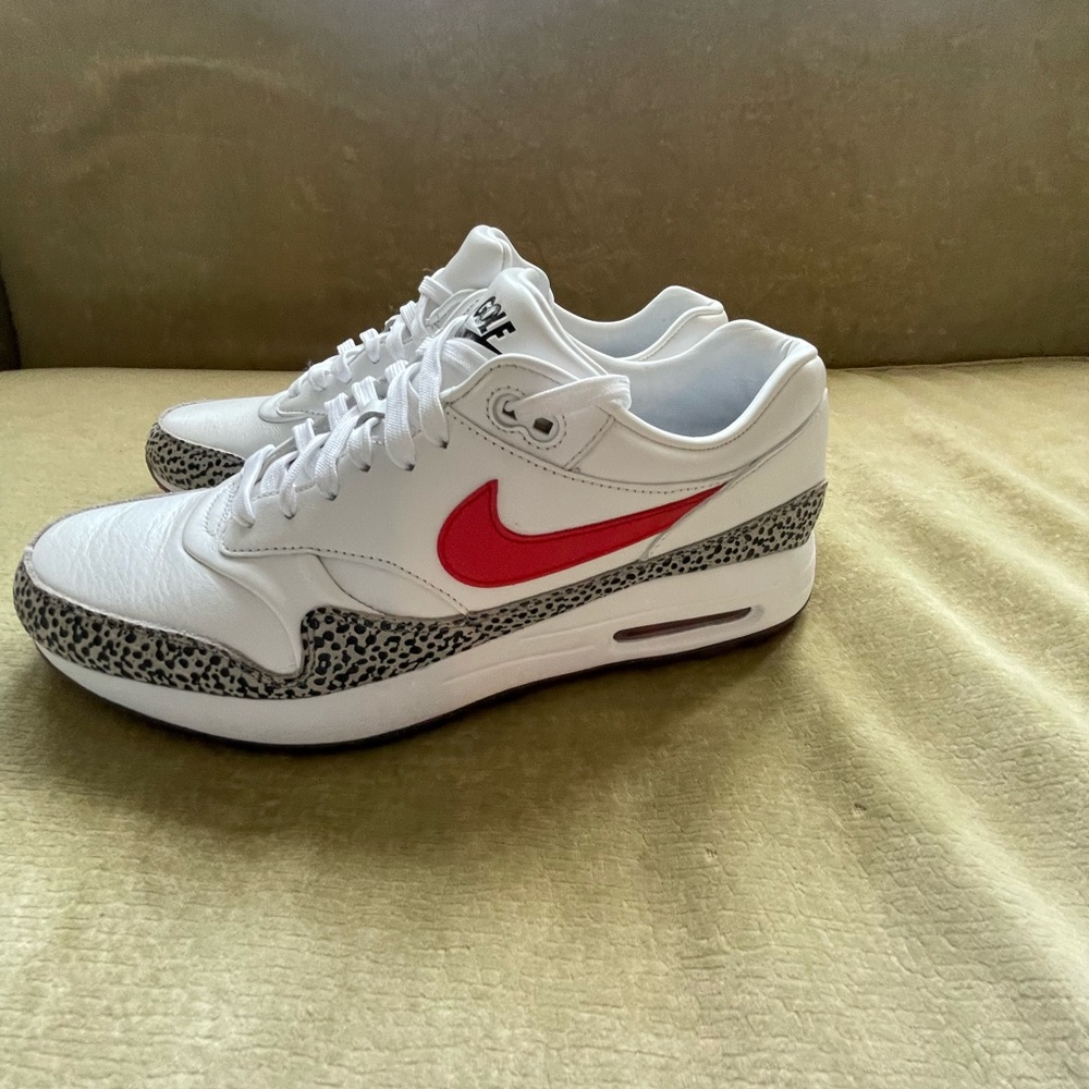 DS Nike Golf Shoes